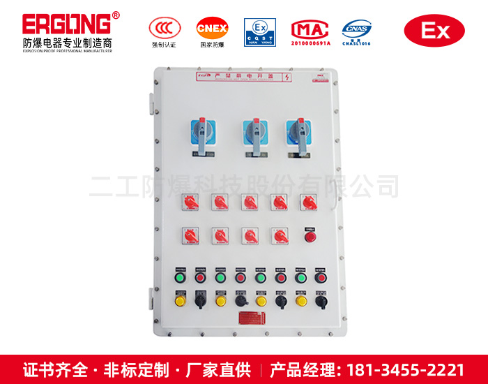 防爆配電箱（柜）-碳鋼